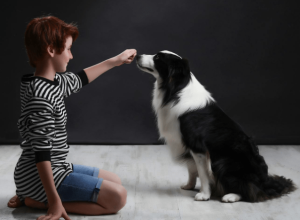 Lee más sobre el artículo Fotografía de mascotas, trucos para lograr las mejores fotos